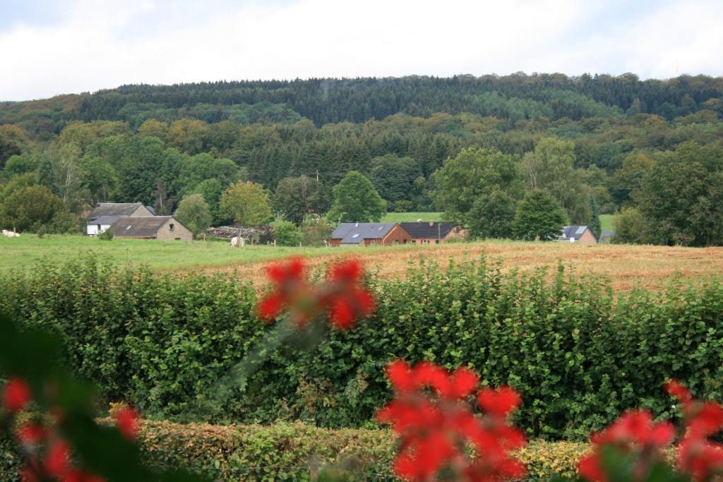 Chambres D'Hotes Les Trappeurs Silence & Nature Tenneville 部屋 写真