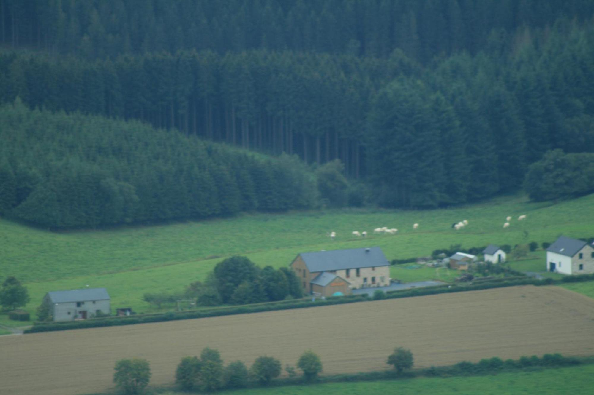 Chambres D'Hotes Les Trappeurs Silence & Nature Tenneville エクステリア 写真